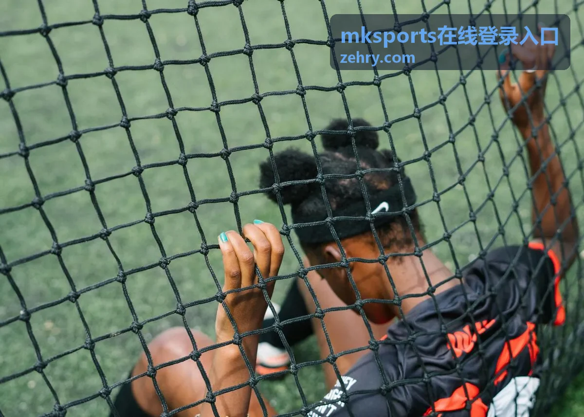 mksports在线登录入口 多终端适配展示