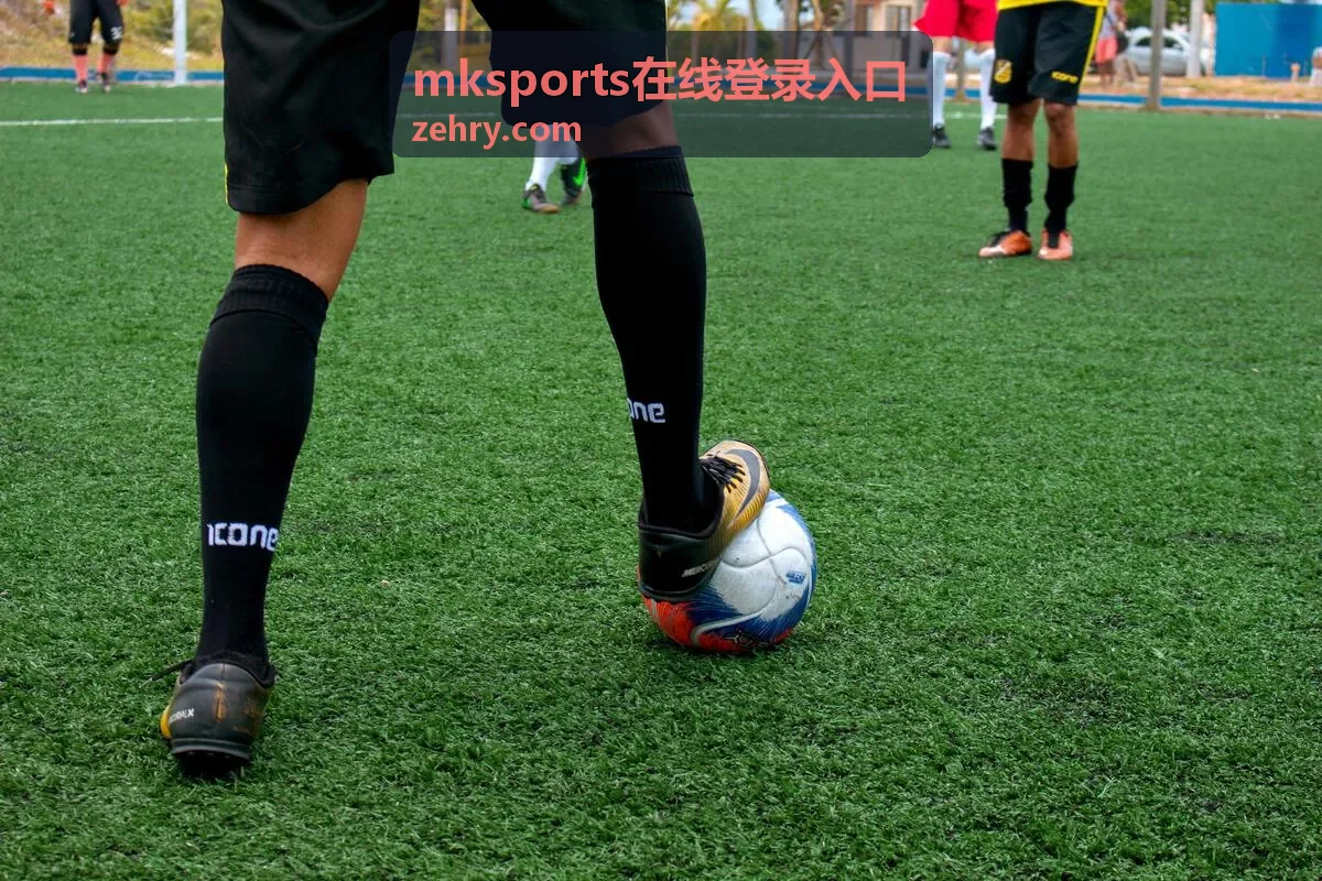 mksports在线登录入口 活动参与流程展示